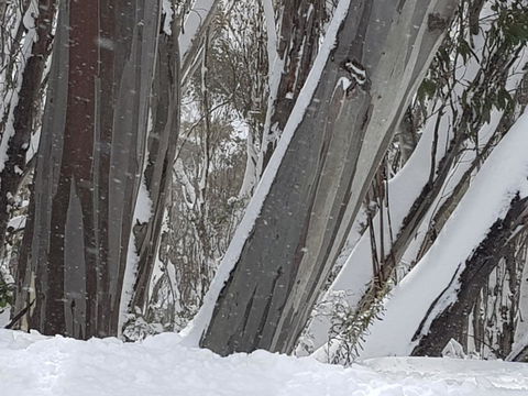 CHILL-OUT - Thredbo - Inverell Accommodation 30