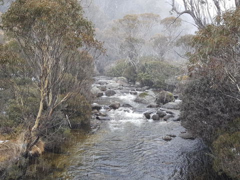 CHILL-OUT - Thredbo - Inverell Accommodation 23