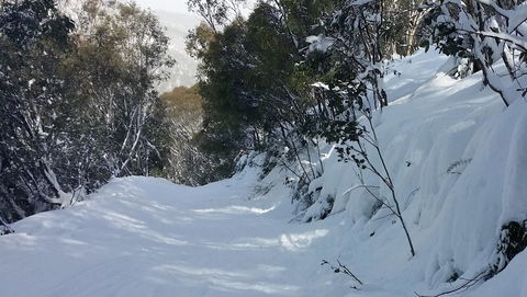 CHILL-OUT - Thredbo - Inverell Accommodation 17