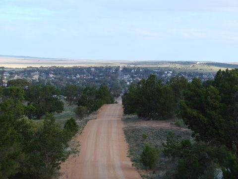 Andy\'s Accommodation - Inverell Accommodation 16