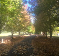 A peaceful cabin in the country - Inverell Accommodation