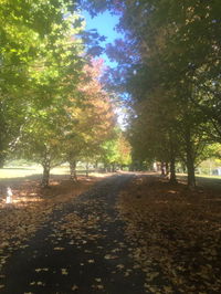 Book Bonville Accommodation Vacations Inverell Accommodation Inverell Accommodation