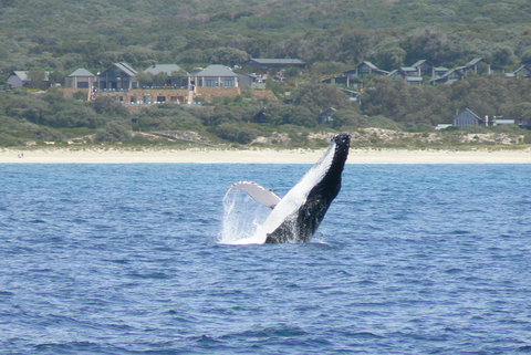 Pullman Bunker Bay Resort Margaret River - Inverell Accommodation 25
