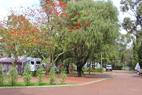 Margaret River Tourist Park - Inverell Accommodation 43