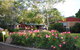 Margaret River Tourist Park - thumb 37