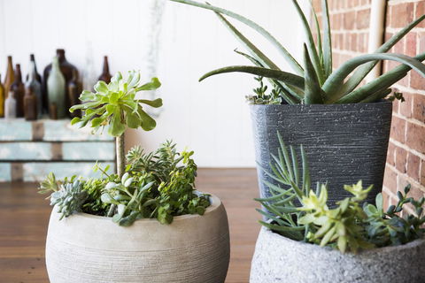 The Parkview Hotel Mudgee - Inverell Accommodation 35