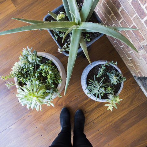 The Parkview Hotel Mudgee - Inverell Accommodation 33