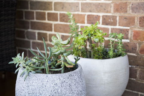 The Parkview Hotel Mudgee - Inverell Accommodation 34