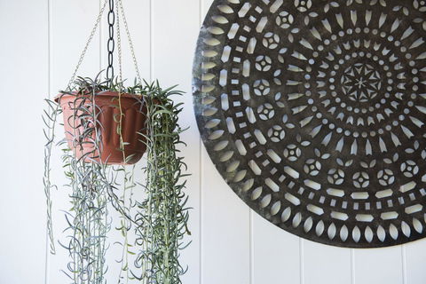 The Parkview Hotel Mudgee - Inverell Accommodation 39