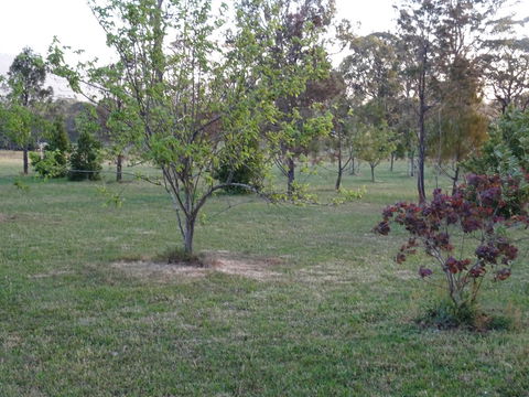 Romanz In The Valley (Luxury B&B) - Inverell Accommodation 32