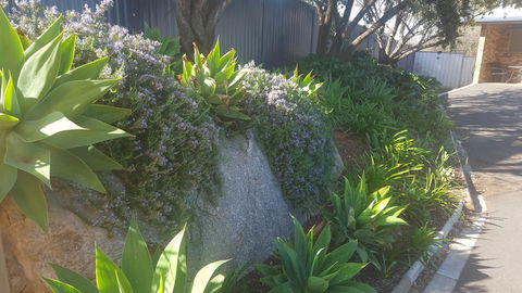Almond Inn - Inverell Accommodation 27