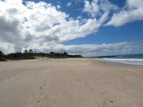 Sweet Spot Shellharbour - Inverell Accommodation 15