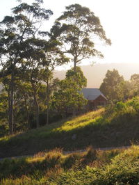 Book Bawley Point Accommodation Vacations Inverell Accommodation Inverell Accommodation