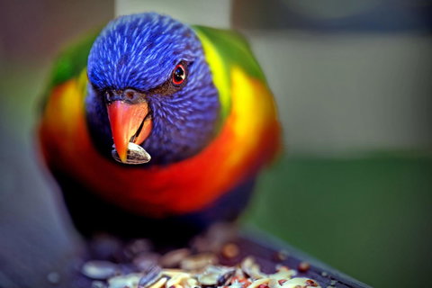 Condo 105 @ Horizons Golf Resort - Salamander Bay NSW - Inverell Accommodation 19