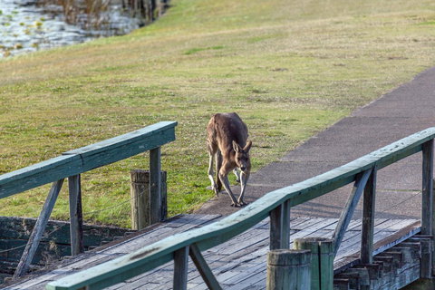 Condo 105 @ Horizons Golf Resort - Salamander Bay NSW - Inverell Accommodation 11