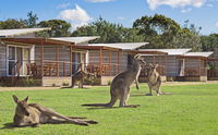 Book Pambula Beach Accommodation Vacations Inverell Accommodation Inverell Accommodation