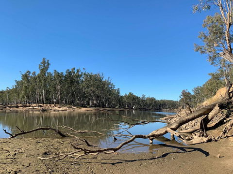 Corowa Bindaree Holiday Park - Inverell Accommodation 1
