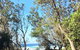 Salthouse Berrara - thumb 22