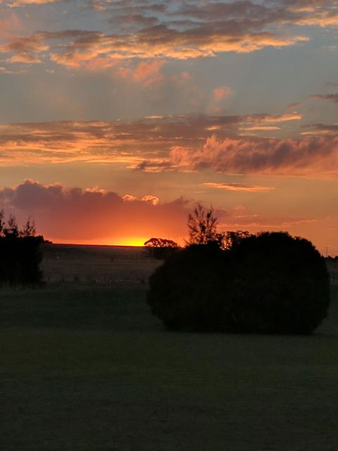 Madigan Wine Country Cottages - Inverell Accommodation 13