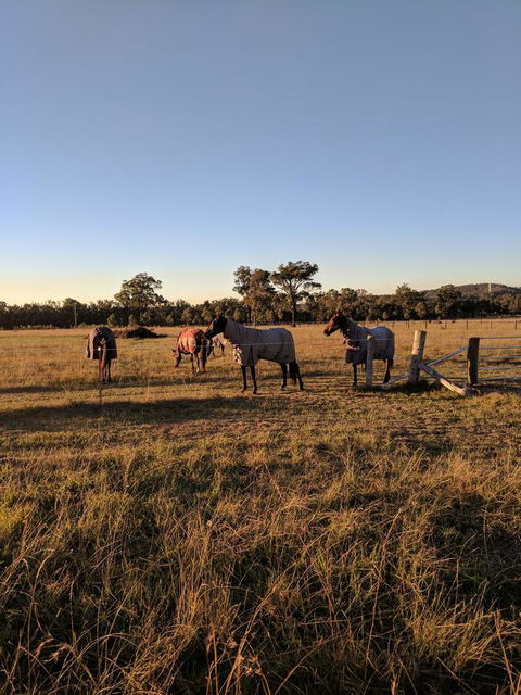 Madigan Wine Country Cottages - Inverell Accommodation 8
