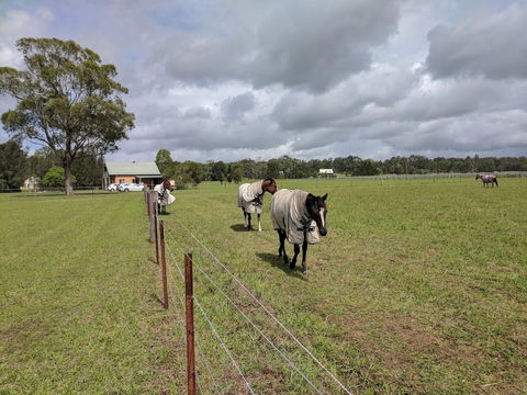 Madigan Wine Country Cottages - Inverell Accommodation 9