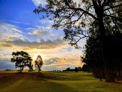 Madigan Wine Country Cottages - Inverell Accommodation 11