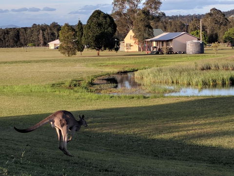 Madigan Wine Country Cottages - Inverell Accommodation 6