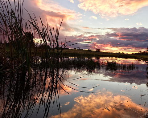 Madigan Wine Country Cottages - Inverell Accommodation 16