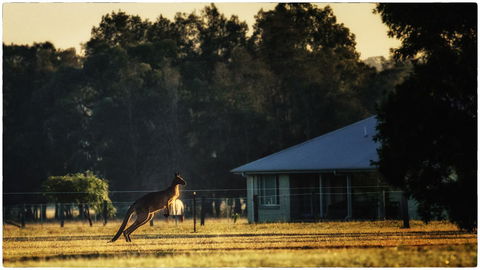 Madigan Wine Country Cottages - Inverell Accommodation 5
