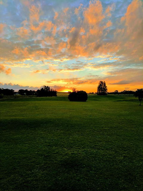 Madigan Wine Country Cottages - Inverell Accommodation 12