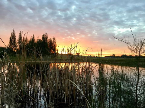 Madigan Wine Country Cottages - Inverell Accommodation 14