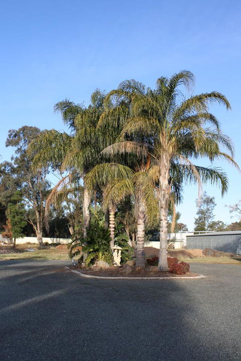 Temora Motel - Inverell Accommodation 6