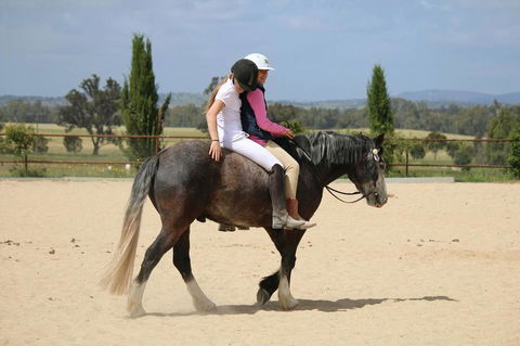 Belisi Farmstay Cottage - Inverell Accommodation 28