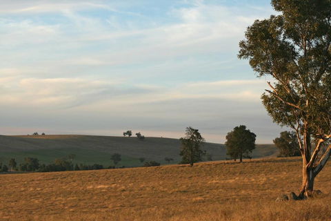 Belisi Farmstay Cottage - Inverell Accommodation 33
