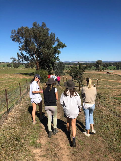 Belisi Farmstay Cottage - Inverell Accommodation 7