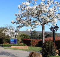 Hume Country Motor Inn - Inverell Accommodation