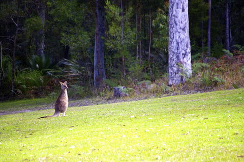 Jackson Ranch By Bannisters - Inverell Accommodation 31