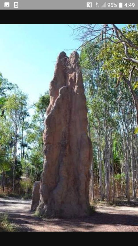 'Tropical Oasis - Darwin NT - Inverell Accommodation 31
