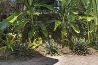 Book Stuart Park Accommodation Vacations Inverell Accommodation Inverell Accommodation