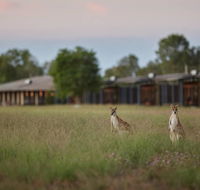 Wildman Wilderness Lodge - Inverell Accommodation