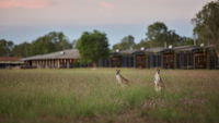 Book Point Stuart Accommodation Vacations Inverell Accommodation Inverell Accommodation