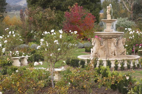 Brookfield Guest House - Inverell Accommodation 1