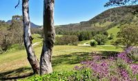 Book Capertee Accommodation Vacations Inverell Accommodation Inverell Accommodation