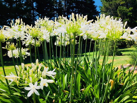 Carawah Ridge - Inverell Accommodation 1