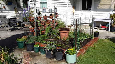Carisbrook Cottage Queenscliff - Inverell Accommodation 1