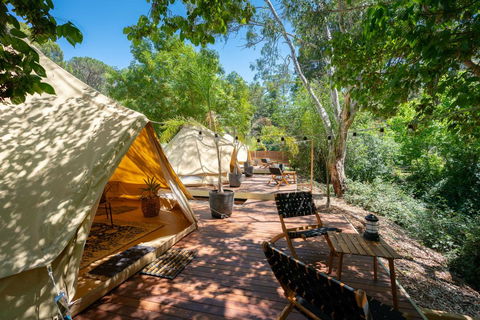 Castlemaine Gardens Luxury Glamping - Inverell Accommodation 0