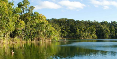 Chambers Wildlife Rainforest Lodges - Inverell Accommodation 1