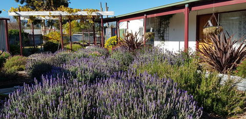 Clunes Motel - Inverell Accommodation 1
