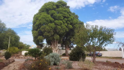 Clunes Motel - Inverell Accommodation 2