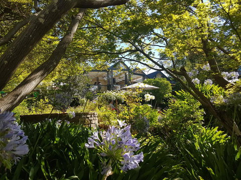 Cobb's Hill Homestead - Inverell Accommodation 1